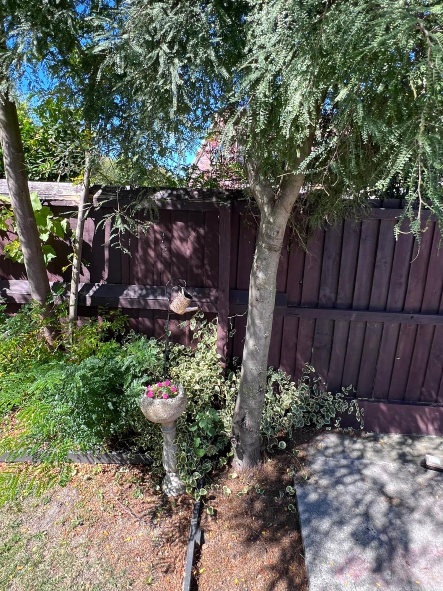 Gorgeous Villa, 7 Minutes From Airport Christchurch Exterior photo