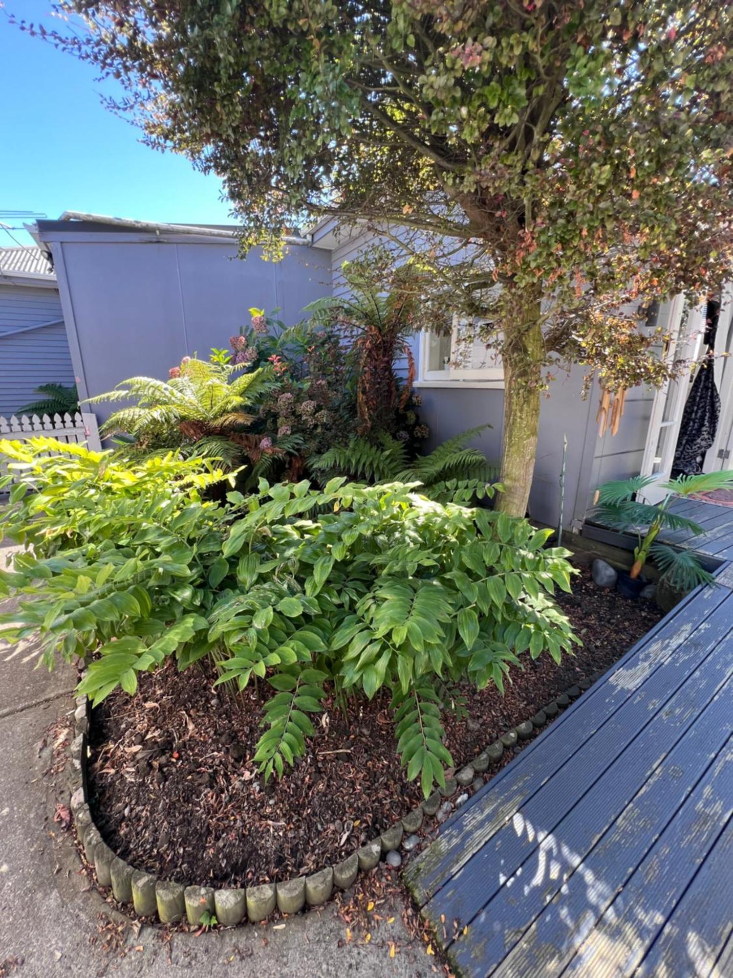Gorgeous Villa, 7 Minutes From Airport Christchurch Exterior photo
